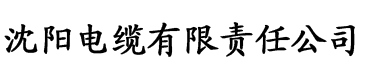 秋霞电影伦理剧电缆厂logo